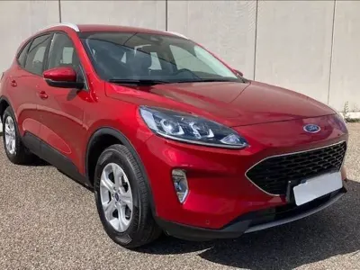 Usata Ford Kuga Business Edition 225 CV (165 kW) 2021 Rosso SUV