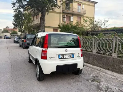 Usata Fiat Panda Climbing 60 CV (44 kW) 2009 Utilitaria