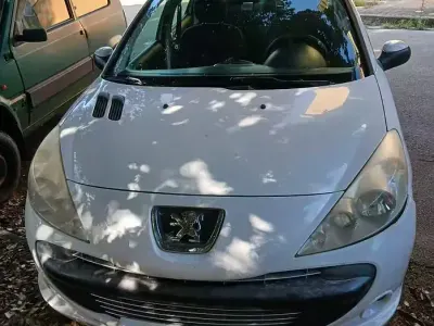 Usata Peugeot 206