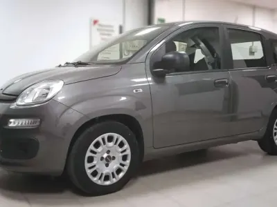 Usata Fiat Panda 69 CV (50 kW) 2021 Grigio maesro Utilitaria