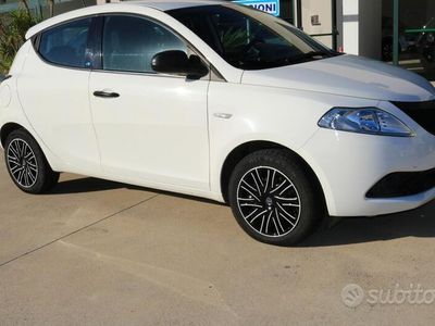 usata Lancia Ypsilon 1.2 69 CV 5 porte S&S Elefantino Bl