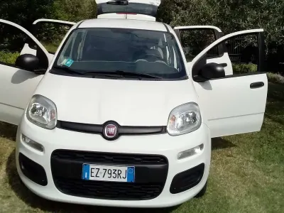 Usata Fiat Panda Easy 69 CV (50 kW) 2015 Bianco Utilitaria