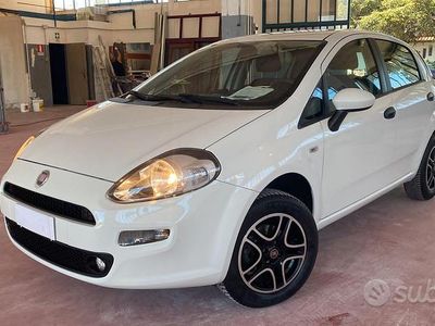 Usata Fiat Punto Lounge 70 CV (51 kW) 2015 Bianco Utilitaria