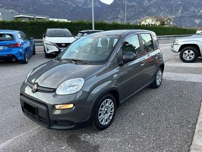 Usata Fiat Panda 71 CV (52 kW) 2022 Gray Utilitaria