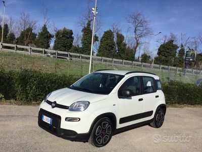 usata Fiat Panda 1.0 FireFly 69Cv S&S Hybrid City Life 5