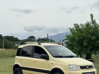 Usata Fiat Panda 4x4 Climbing 69 CV (50 kW) 2010 Giallo Utilitaria