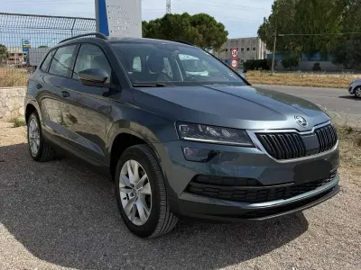 Usata Skoda Karoq