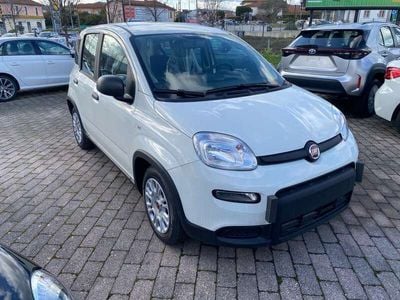 Usata Fiat Panda S 69 CV (50 kW) 2023 Bianco Utilitaria