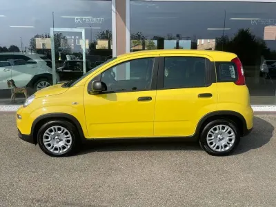 Nuova Fiat Panda S 69 CV (50 kW) 2026 Giallo Utilitaria