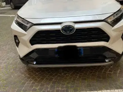 Usata Toyota RAV4 Hybrid