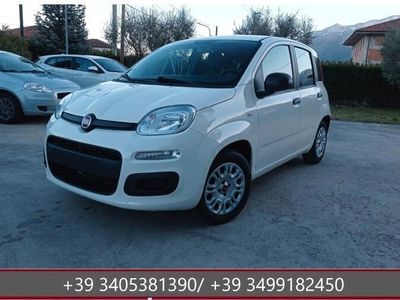 usata Fiat Panda Panda 1.2 Classic