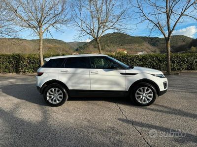 usata Land Rover Range Rover evoque Range Rover Evoque 2.0 TD4 150 CV 5p. Pure