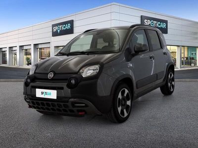 usata Fiat Panda Cross 1.0 FireFly 70cv S&S Hybrid SCOPRI DI PIÙ SU QUESTO VEICOLO E SULLE MODALITÀ DI CONSEGNA