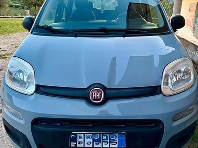 Usata Fiat Panda Lounge 69 CV (50 kW) 2019 Grigio Utilitaria