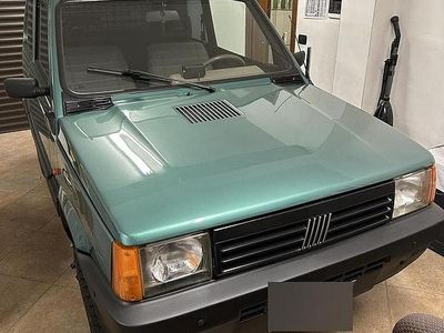 Usata Fiat Panda 4x4 2000 Verde Utilitaria