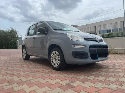 Usata Fiat Panda 69 CV (50 kW) 2018 Grigio Utilitaria