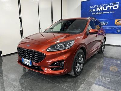 usata Ford Kuga 1.5 ecoblue ST-Line X 2wd 120cv