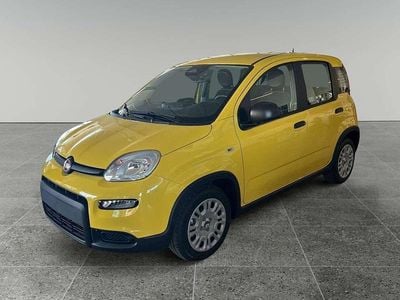 Nuova Fiat Panda S 69 CV (50 kW) 2025 Giallo Utilitaria
