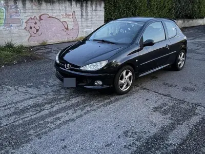 Usata Peugeot 206