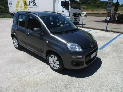 Usata Fiat Panda Lounge 95 CV (69 kW) 2018 Grigio Utilitaria
