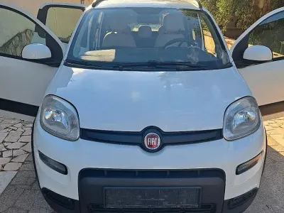 Usata Fiat Panda 4x4 80 CV (58 kW) 2015 Bianco Utilitaria