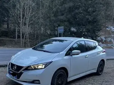 Usata Nissan Leaf