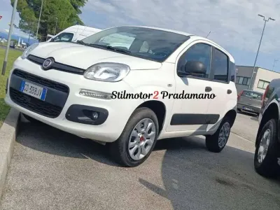 Usata Fiat Panda 4x4 S 86 CV (63 kW) 2020 Bianco Utilitaria