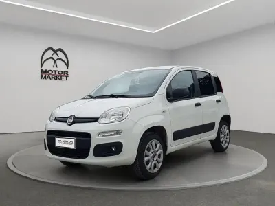 Usata Fiat Panda 4x4 Pop 85 CV (62 kW) 2020 Bianco Utilitaria