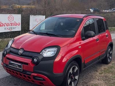 Usata Fiat Panda Cross Cross 69 CV (50 kW) 2019 Rosso Utilitaria