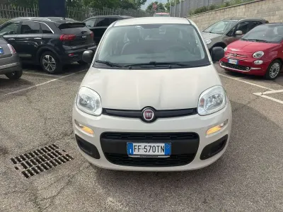 Usata Fiat Panda Easy 95 CV (69 kW) 2017 Other Utilitaria