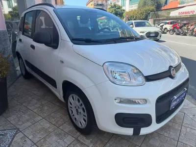 Usata Fiat Panda 69 CV (50 kW) 2013 Bianco Utilitaria