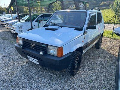 usata Fiat Panda 1100 i.e. cat Selecta usato