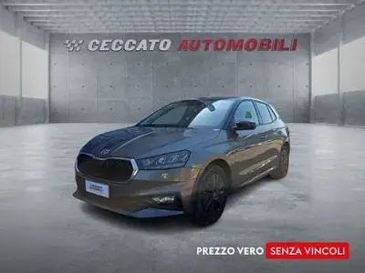Usata Skoda Fabia