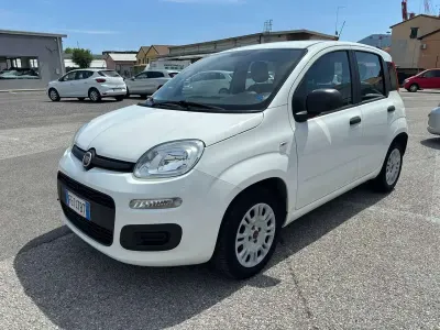 Usata Fiat Panda Easy 69 CV (50 kW) 2016 Bianco Utilitaria