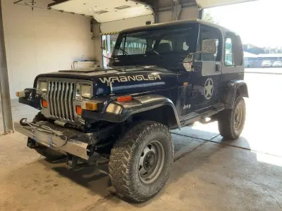 Usata Jeep Wrangler Limited 184 CV (135 kW) 1995 Blu/azzurro SUV