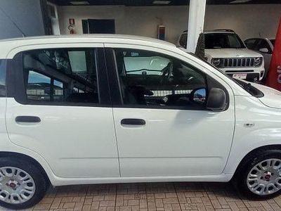 Usata Fiat Panda Easy 69 CV (50 kW) 2019 Bianco Utilitaria