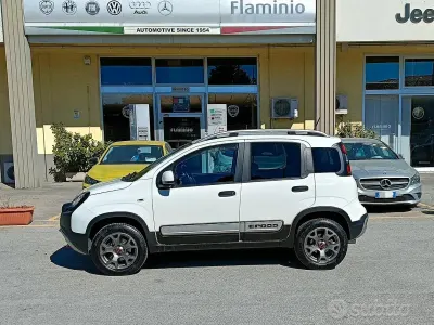 Usata Fiat Panda 4x4 S 84 CV (61 kW) 2020 Bianco Utilitaria