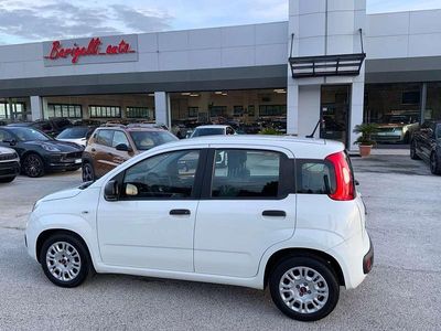 Usata Fiat Panda Easy 69 CV (50 kW) 2020 Bianco Utilitaria