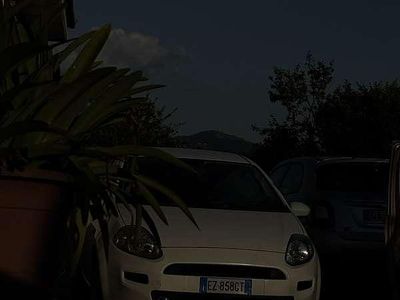 Usata Fiat Punto Lounge 75 CV (55 kW) 2015 Utilitaria