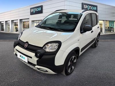 Usata Fiat Panda Cross Cross 70 CV (51 kW) 2020 Bianco Utilitaria
