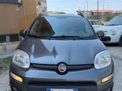 Usata Fiat Panda Lounge 69 CV (50 kW) 2017 Grigio Utilitaria