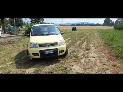 Usata Fiat Panda 4x4 60 CV (44 kW) 2006 Giallo Utilitaria