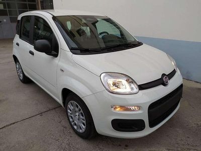 Nuova Fiat Panda 69 CV (50 kW) 2025 Bianco Utilitaria