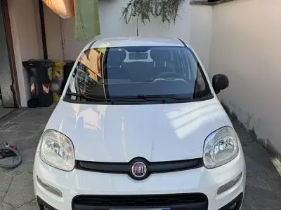 Usata Fiat Panda Classica 69 CV (50 kW) 2016 Utilitaria