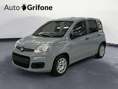 Usata Fiat Panda City Life 69 CV (50 kW) 2022 Grigio Berlina