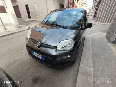 Usata Fiat Panda Easy 69 CV (50 kW) 2018 Grigio Utilitaria