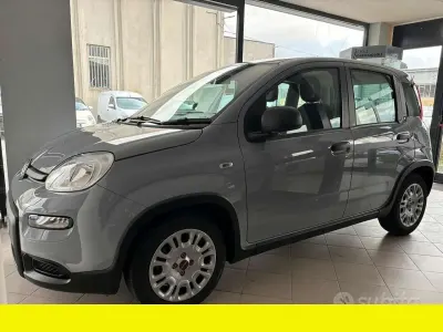 Occasion Fiat Panda 71 ch (52 kW) 2023 Other Citadine