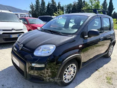 Usata Fiat Panda 69 CV (50 kW) 2023 Nero Utilitaria