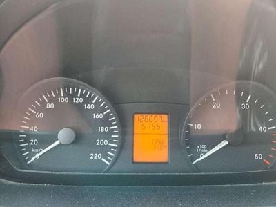 Mercedes Viano