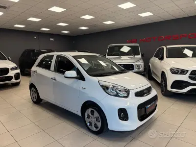 Usata Kia Picanto 67 CV (49 kW) 2017 Bianco Utilitaria